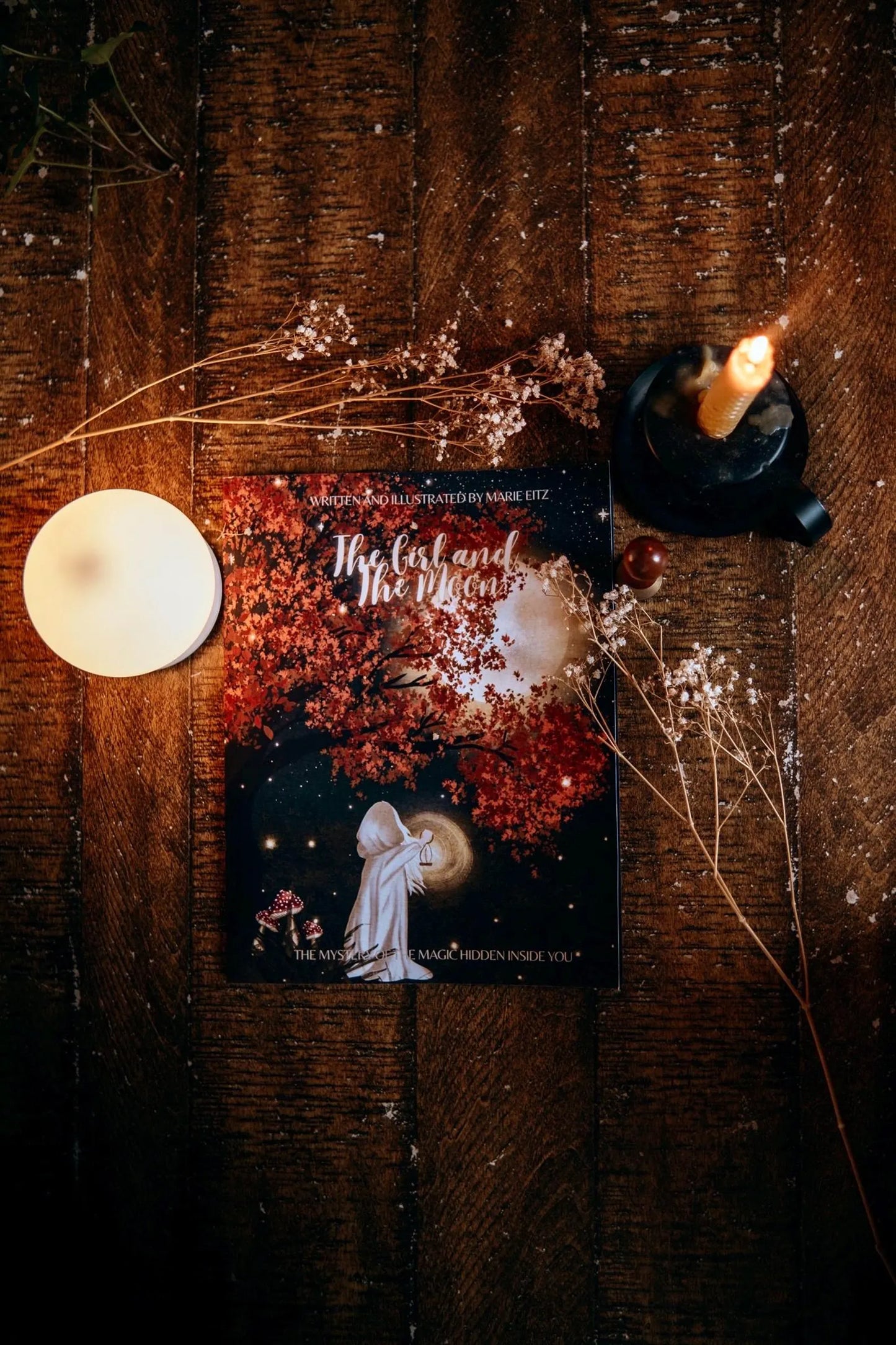 The Girl and the Moon - Children's Story