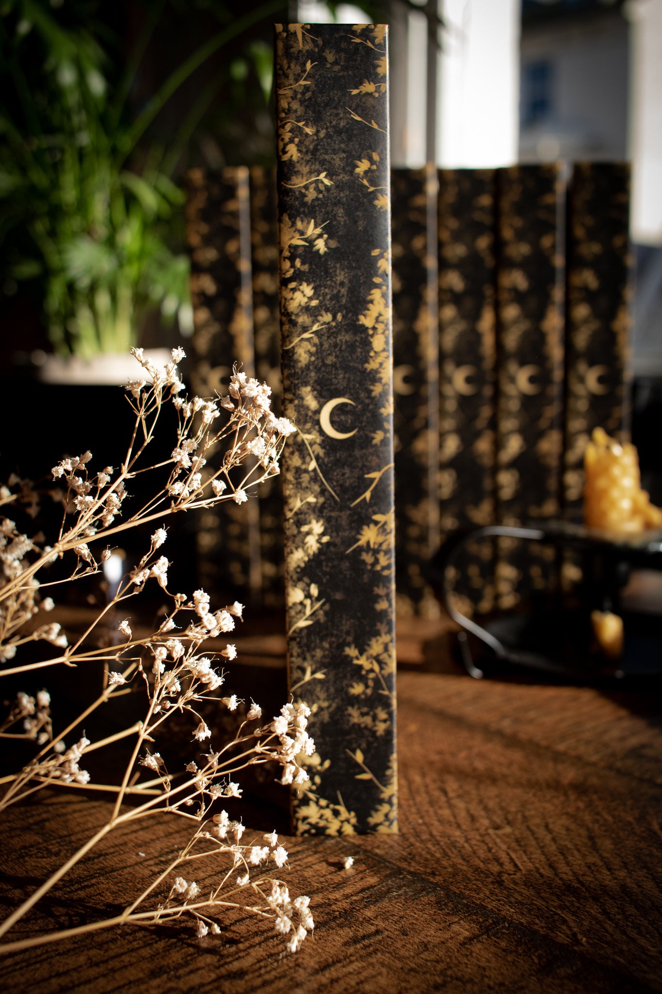 Sun & Moon Journal