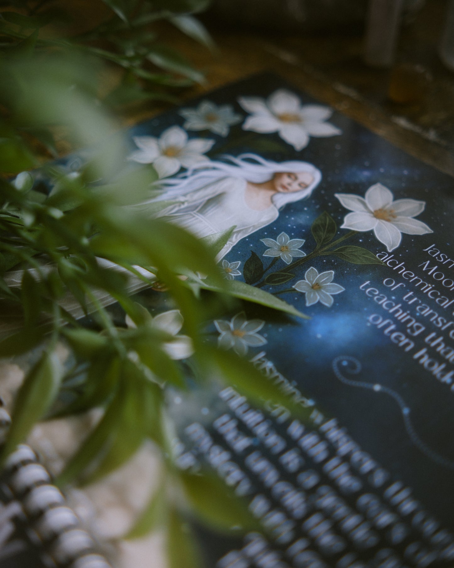 The Alchemical Garden 2026 A4 Calendar